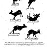 Наръчник на ловеца и риболовеца - Image 6