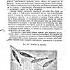 Наръчник на ловеца и риболовеца - Image 7